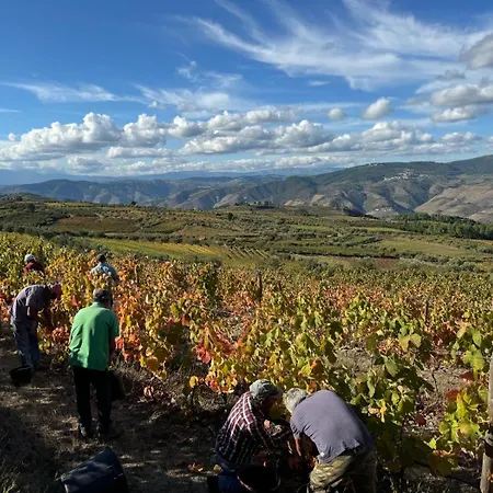 Casas Da Pereira בית נופש *