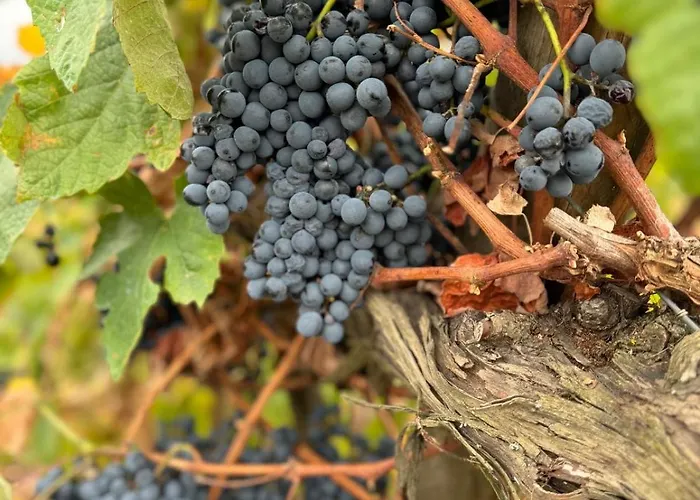 Casas Da Pereira * Barcos