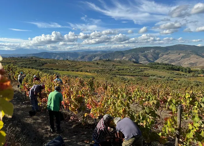 Casas Da Pereira Semesterbostad *